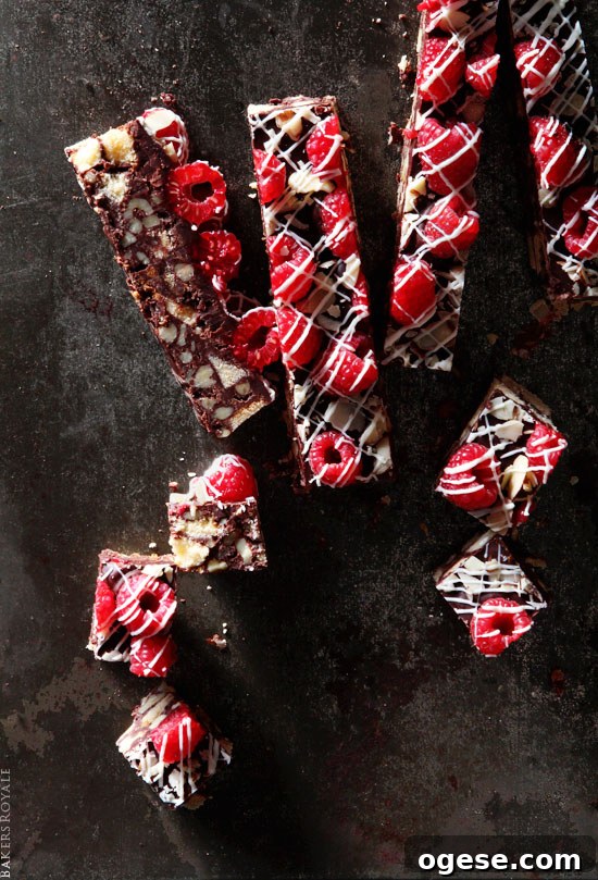 Walnut and  Chocolate Cake Bar ~ A fast and easy no-bake recipe via Bakers Royale