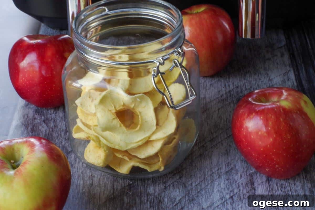 Air Fryer Dried Apples: Simple Step-by-Step Dehydrating Guide 12 dehydrated apples in a clear jar