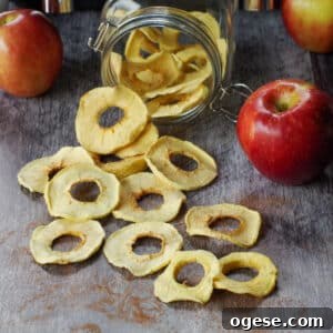 Air Fryer Dried Apples: Simple Step-by-Step Dehydrating Guide 17 air fryer dehydrated apples spilled out of a jar of more dehydrated apples