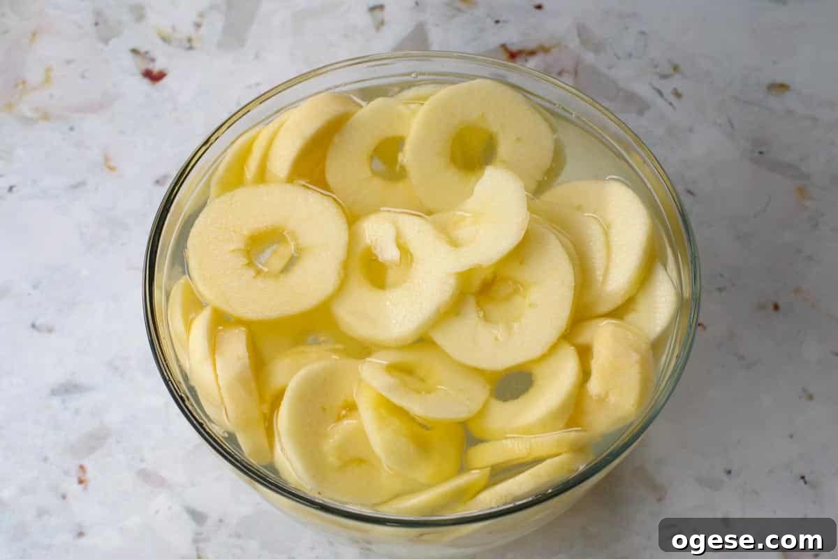 Air Fryer Dried Apples: Simple Step-by-Step Dehydrating Guide 5 apples cut in circles in a glass bowl with lemon water