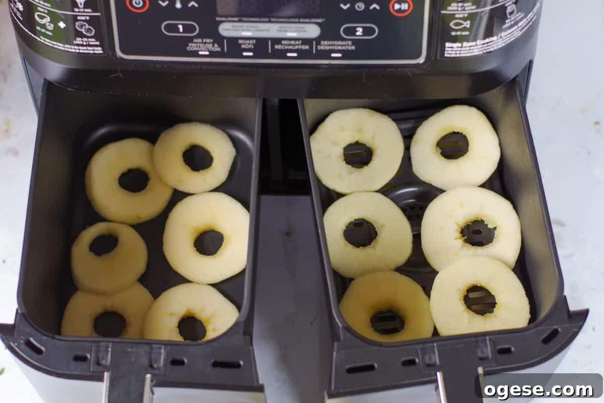 Air Fryer Dried Apples: Simple Step-by-Step Dehydrating Guide 7 apple slices in air fryer drawers in single layer