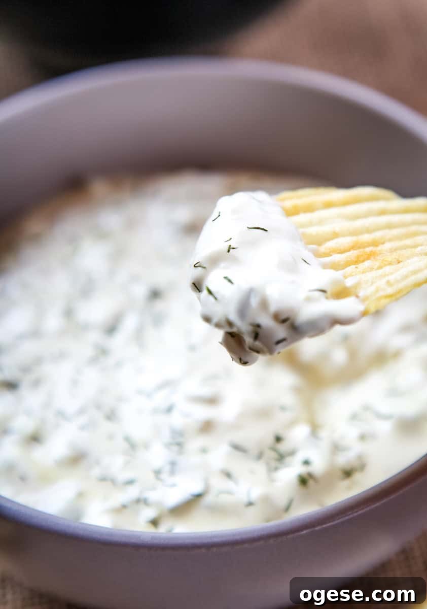 Creamy Dill Pickle Dip Recipe for Parties and Snacks 2 a ruffled potato chip with dill pickle dip on it with a dill garnish.