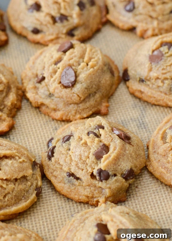 Soft and chewy Keto Peanut Butter Cookies with dark chocolate chips