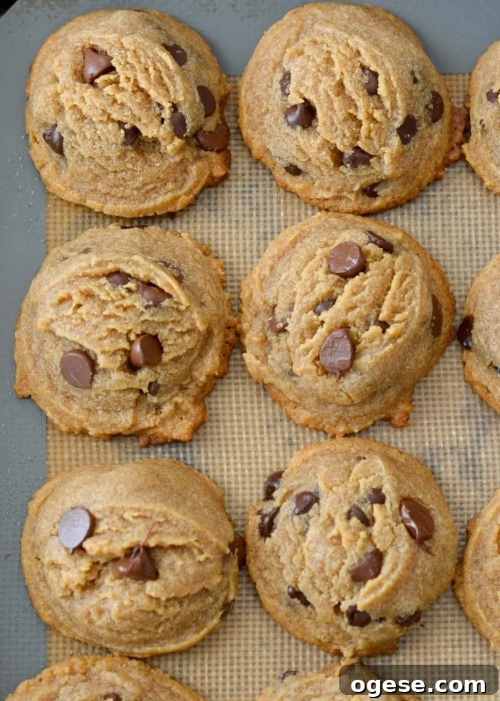 Keto Peanut Butter Cookies - chocolate chips and texture