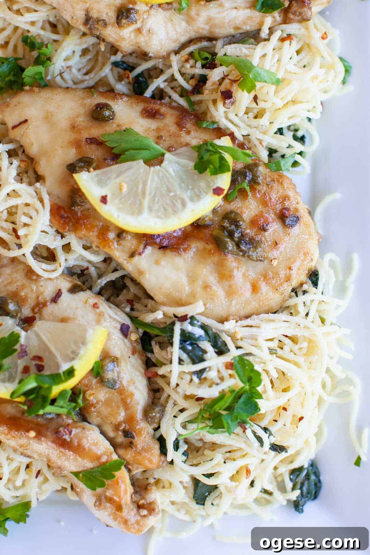 Lemon slices on top of chicken piccata, sitting on a bed of angel hair pasta.