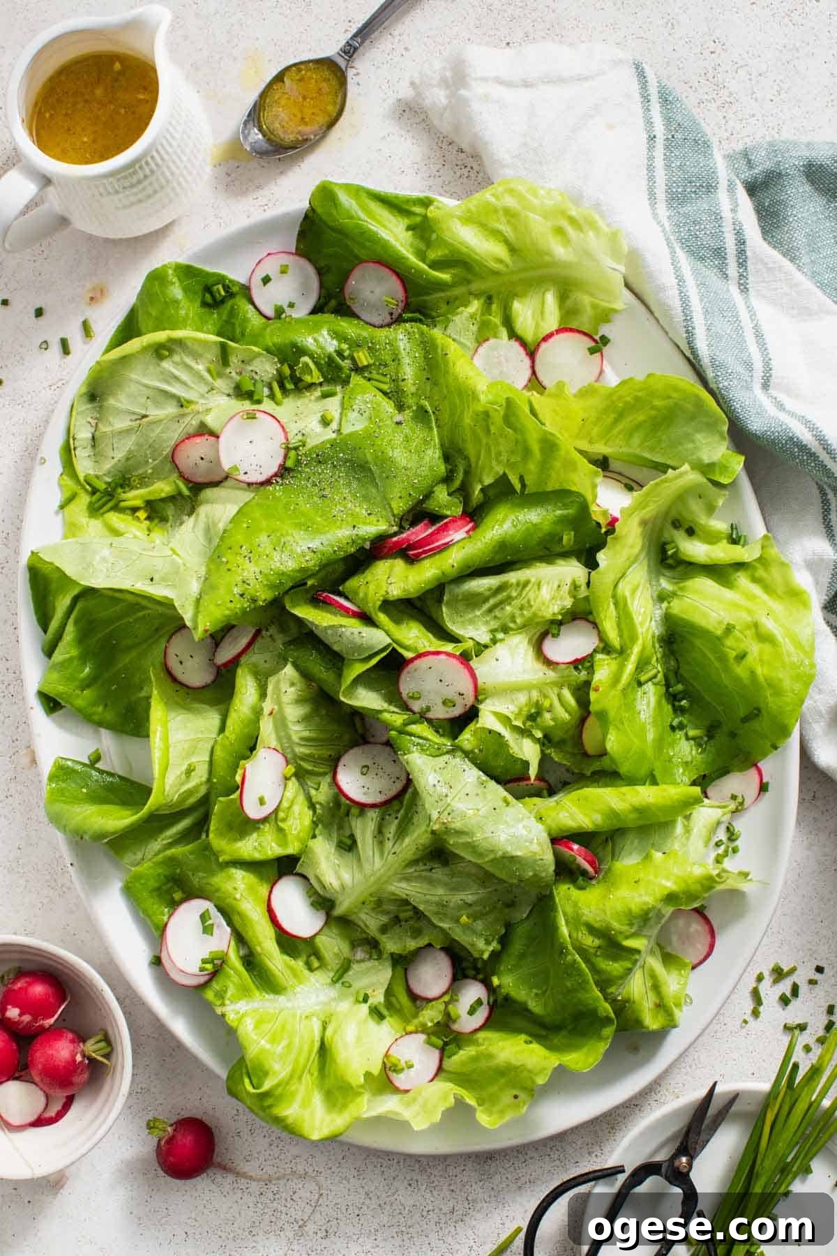 Crisp Bibb Lettuce Salad with Lemon Vinaigrette 2 Butter lettuce salad with radishes and chives in a white bowl.