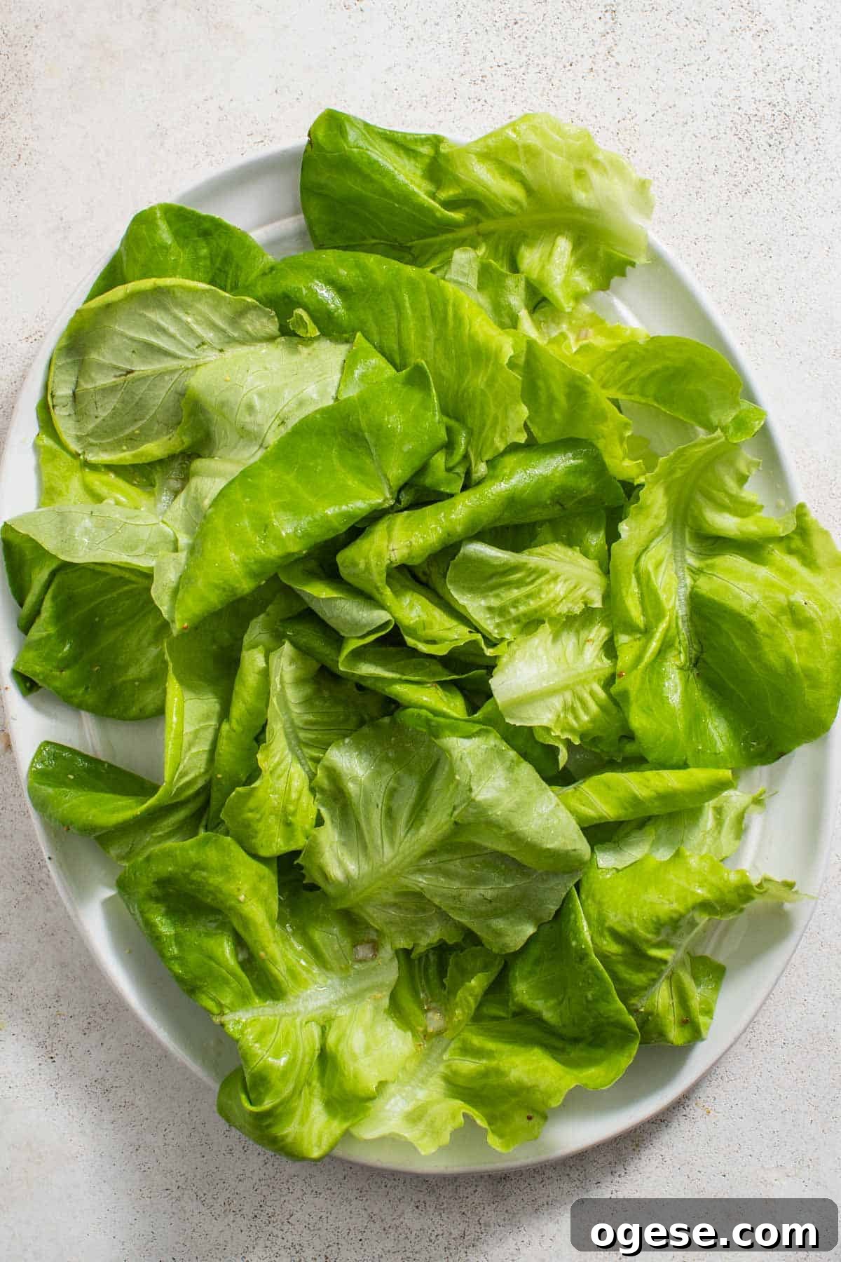 Crisp Bibb Lettuce Salad with Lemon Vinaigrette 4 Dressed butter lettuce in a bowl.