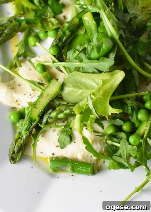 Crisp Bibb Lettuce Salad with Lemon Vinaigrette 10 A unique update to traditional caprese salad, this spring vegetable caprese uses asparagus and fresh mozzarella.