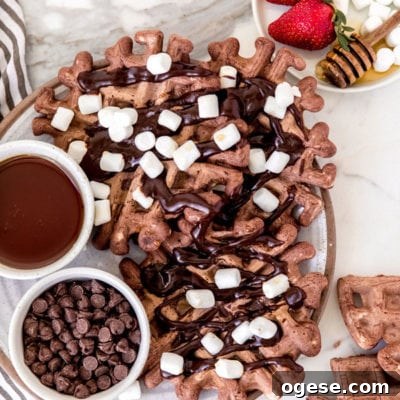 Birch Benders Pancake Mix: Real Taste Test and Review 5 Hot Cocoa Waffles