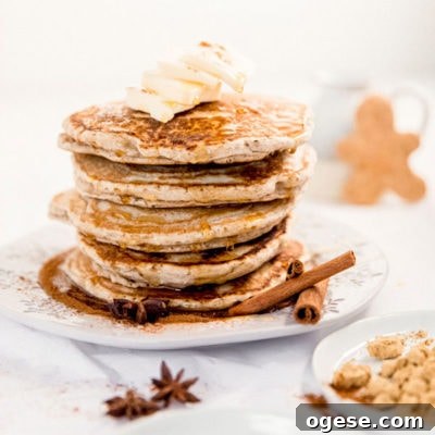 Birch Benders Pancake Mix: Real Taste Test and Review 6 Gingerbread Pancakes
