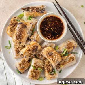 Crispy Rice Paper Dumplings Recipe — Crunchy Asian-Style Bites 12 img 18756 11