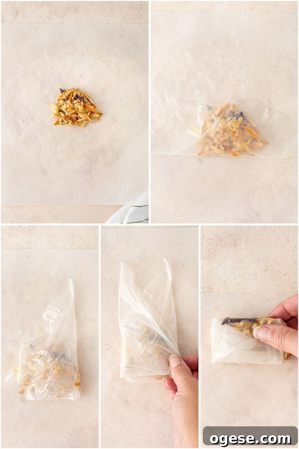 Crispy Rice Paper Dumplings Recipe — Crunchy Asian-Style Bites 7 A step by step image showing how to wrap the dumplings.