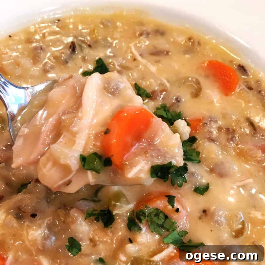 Creamy Chicken and Wild Rice Soup Recipe for Comforting Weeknights 2 A soup with wild rice and chicken