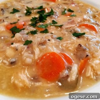 Creamy Chicken and Wild Rice Soup Recipe for Comforting Weeknights 8 Creamy Chicken and Wild Rice Soup in a bowl ready to eat.