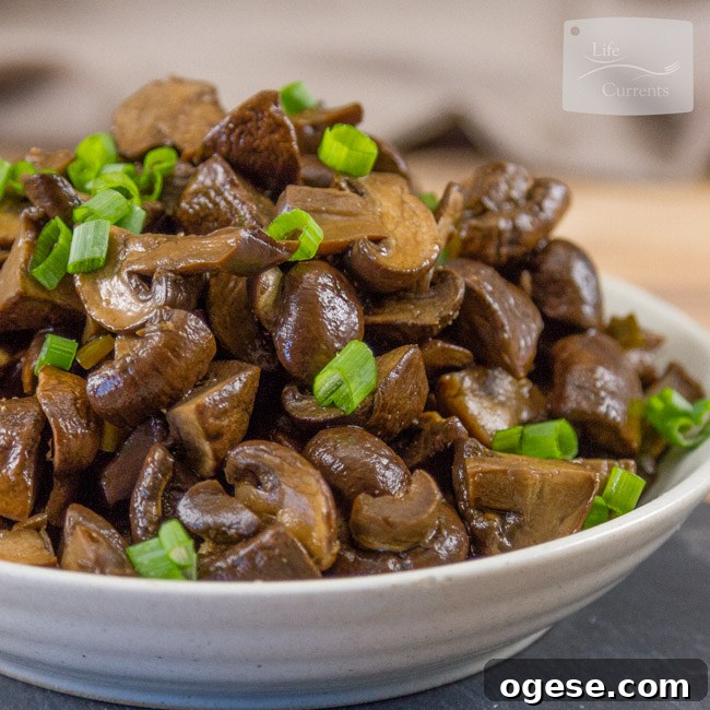 Crock Pot {or Slow Cooker} Mushroom Asada or Hongos Asada in Spanish are vegan, vegetarian, gluten-free, and perfect for Cinco de Mayo or any Taco Tuesday!