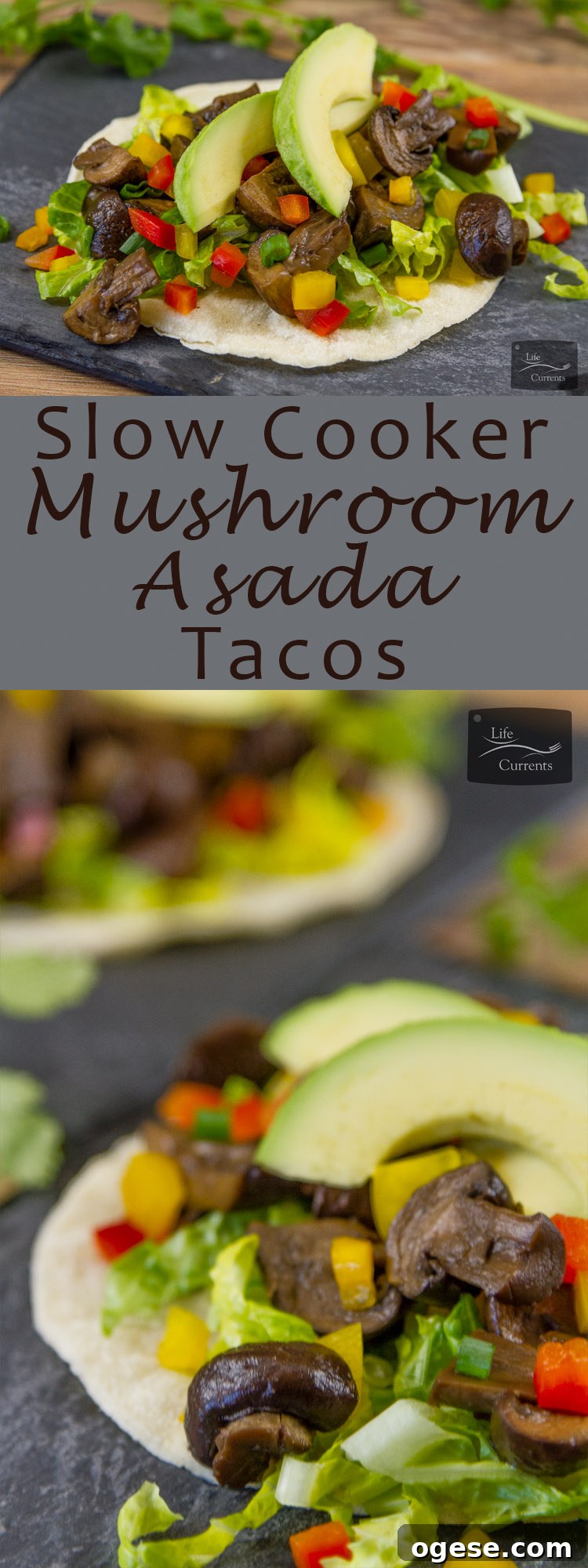 Crock Pot {or Slow Cooker} Mushroom Asada or Hongos Asada in Spanish are vegan, vegetarian, gluten-free, and perfect for Cinco de Mayo or any Taco Tuesday!