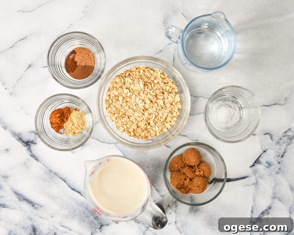 Instant Pot Gingerbread Oatmeal Recipe for Cozy Mornings 3 img 20203 3