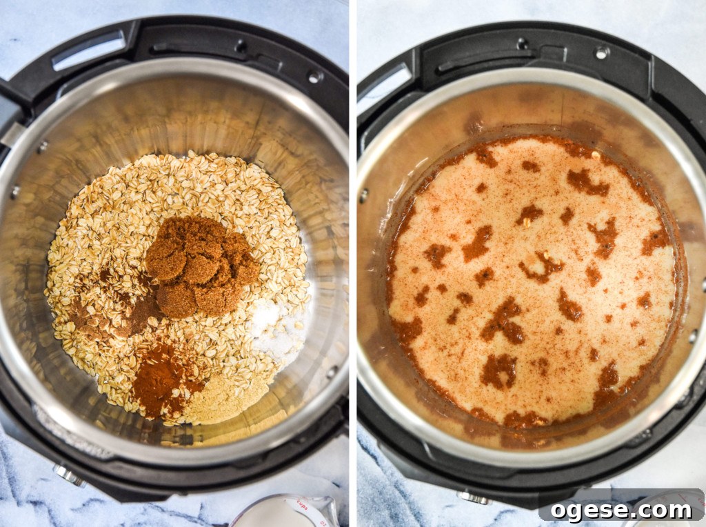 Instant Pot Gingerbread Oatmeal Recipe for Cozy Mornings 4 instant pot gingerbread oatmeal ingredients in the pot liner.