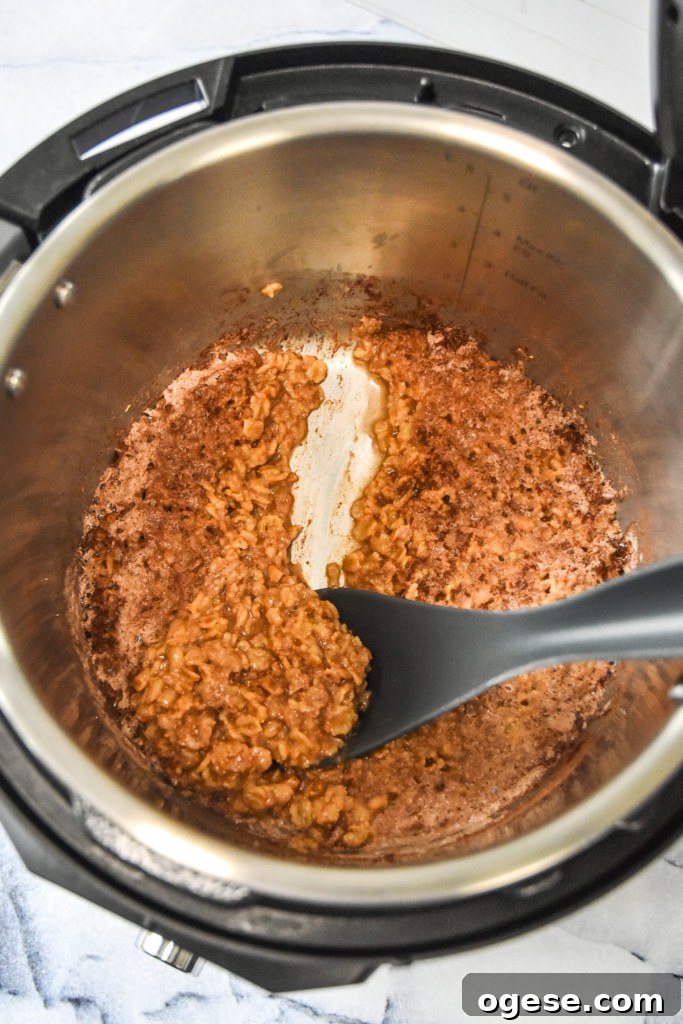 Instant Pot Gingerbread Oatmeal Recipe for Cozy Mornings 5 instant pot gingerbread oatmeal just cooked in the instant pot before stirring.