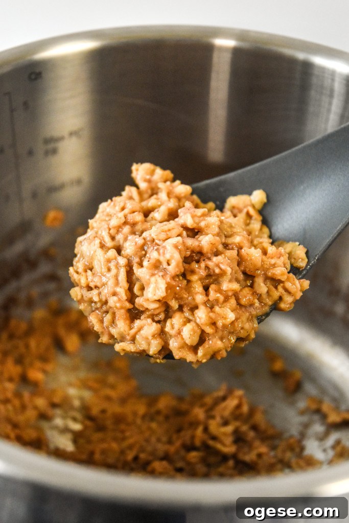 Instant Pot Gingerbread Oatmeal Recipe for Cozy Mornings 7 a spoonful of instant pot gingerbread oatmeal.