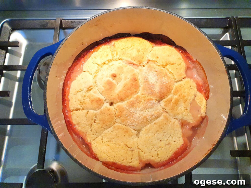 baked cobbler in pan