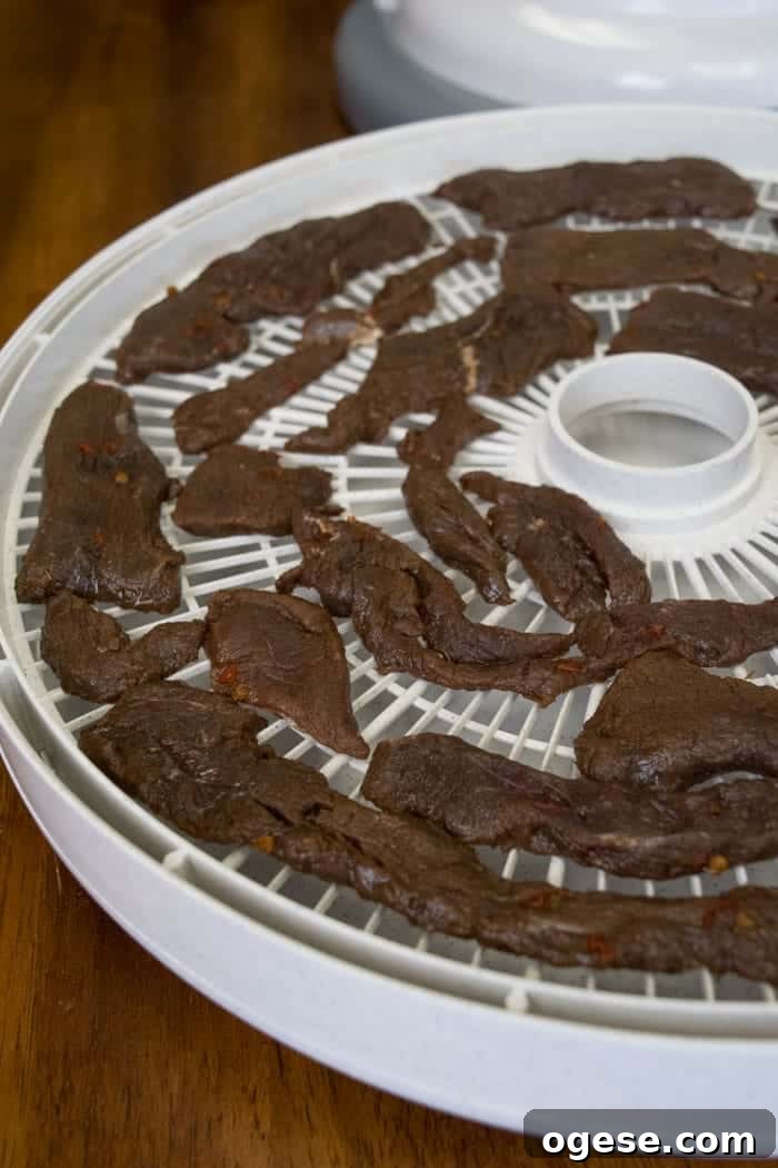 elk jerky on dehydrator