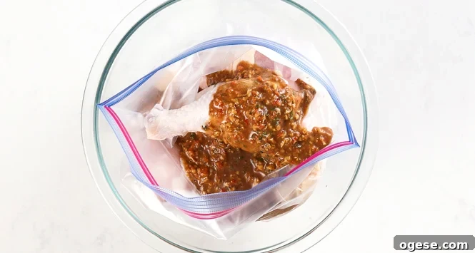 Oven-Baked Jamaican Jerk Chicken Recipe 5 Chicken marinating in a ziplock bag.