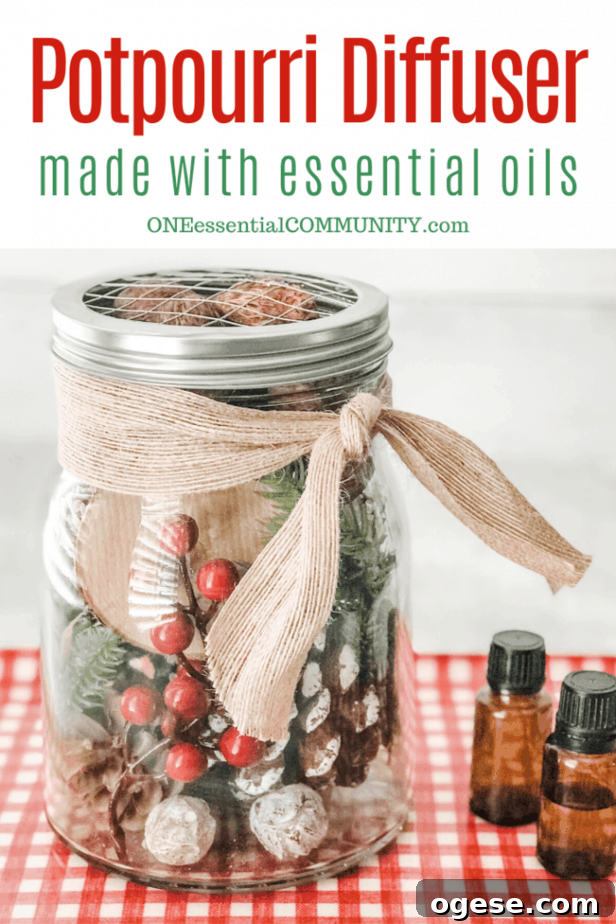 Christmas Potpourri Diffuser Guide: Scent Ideas & Care Tips 2 homemade Christmas potpourri in mason jar