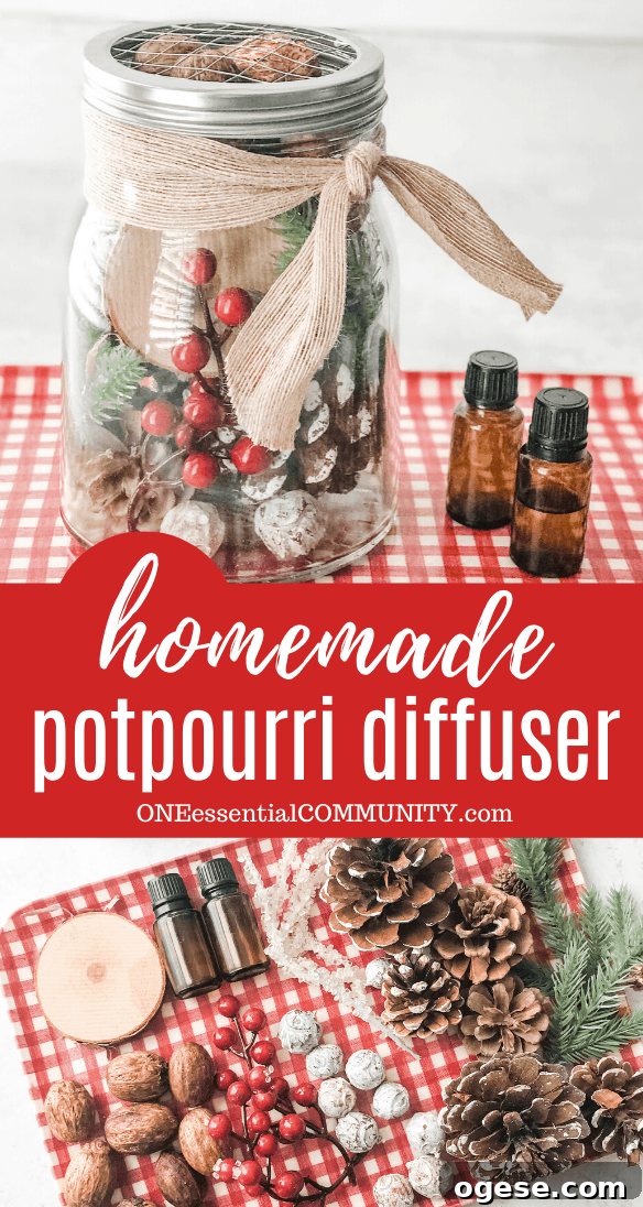 Christmas Potpourri Diffuser Guide: Scent Ideas & Care Tips 11 pinterest image of homemade potpourri diffuser for Christmas