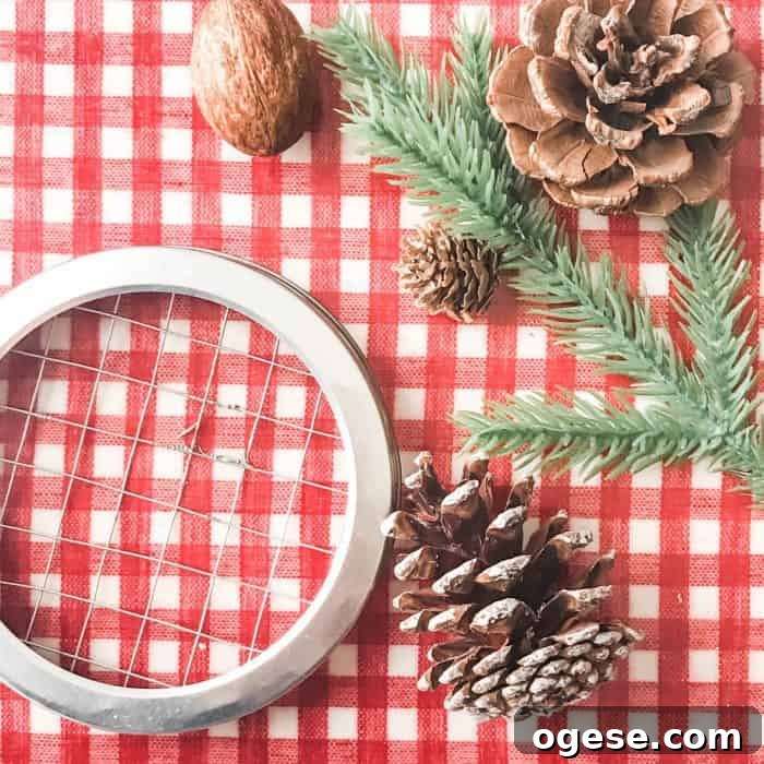 Christmas Potpourri Diffuser Guide: Scent Ideas & Care Tips 4 supplies to make holiday essential oil diffuser