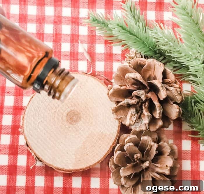 Christmas Potpourri Diffuser Guide: Scent Ideas & Care Tips 6 essential oil being added to wood slice for Christmas potpourri
