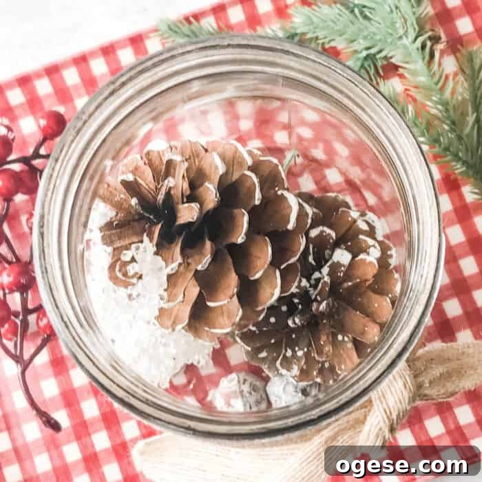Christmas Potpourri Diffuser Guide: Scent Ideas & Care Tips 7 DIY Christmas essential oil diffuser in a mason jar