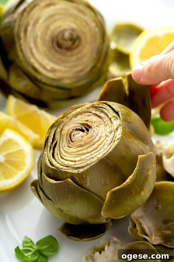 How to Cook Artichokes: Steamed and Roasted Methods 13 pulling off a leaf of an artichoke