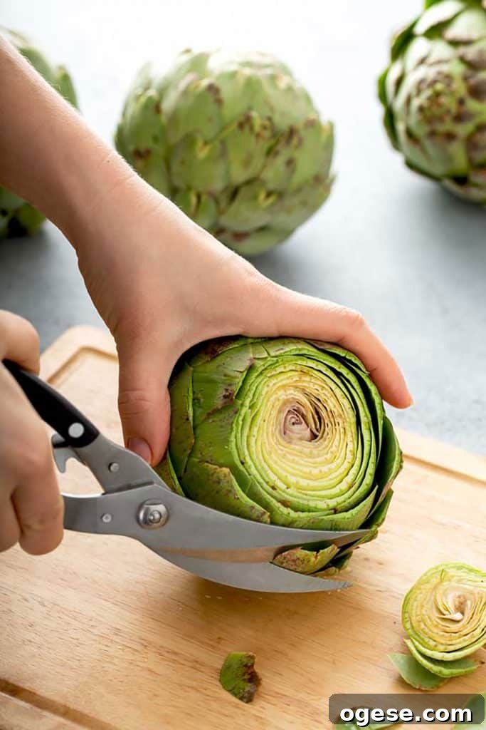 How to Cook Artichokes: Steamed and Roasted Methods 7 trimming the spiky, thorny top ends of an artichoke leaf with a kitchen shear.