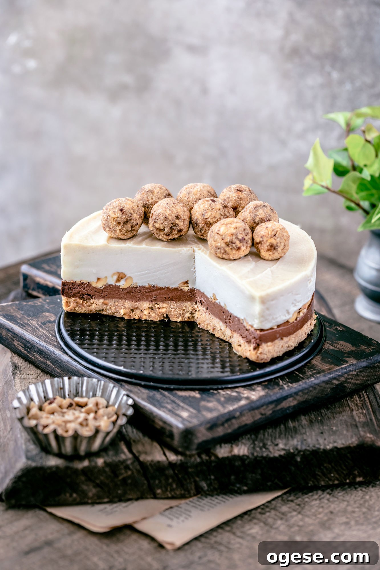 Hazelnut Double Chocolate No-Bake Cheesecake