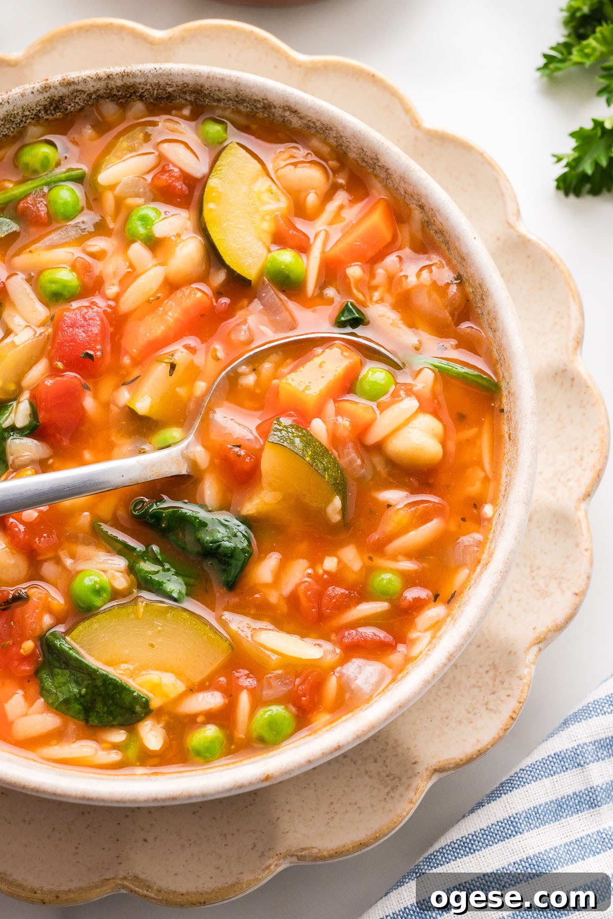 Hearty Vegetable Orzo Soup Recipe for Cozy Weeknights 11 A serving of vegetable orzo soup in a bowl with a spoon.