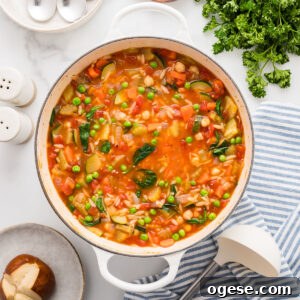 Hearty Vegetable Orzo Soup Recipe for Cozy Weeknights 12 Vegetable orzo soup in a large pot.
