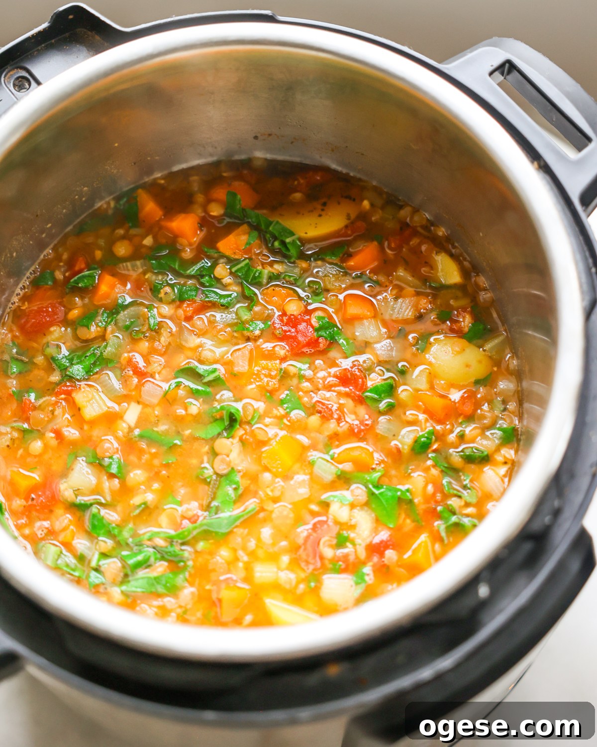 Hearty Instant Pot Lentil Soup Recipe for Busy Weeknights 10 instant pot lentil soup