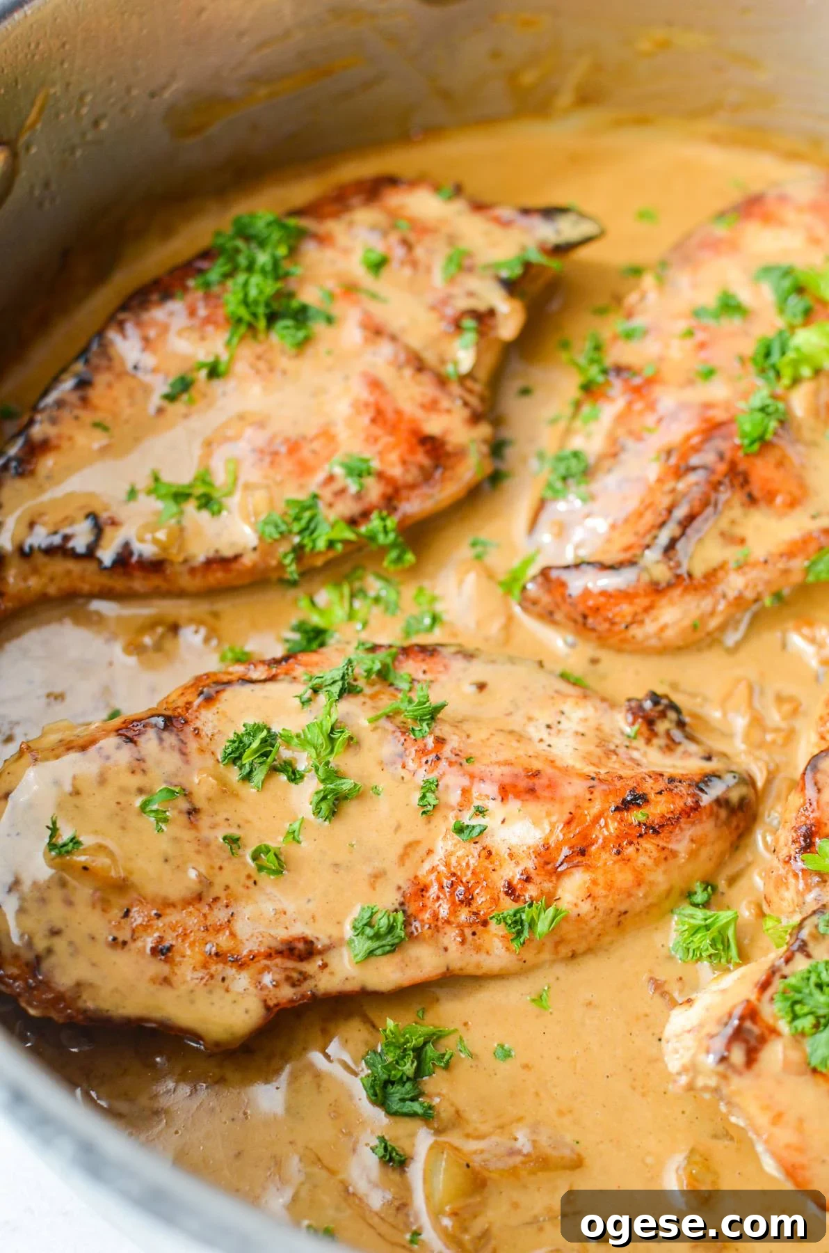 A close up of chicken in a skillet, coated in a light brown creamy garlic sauce.