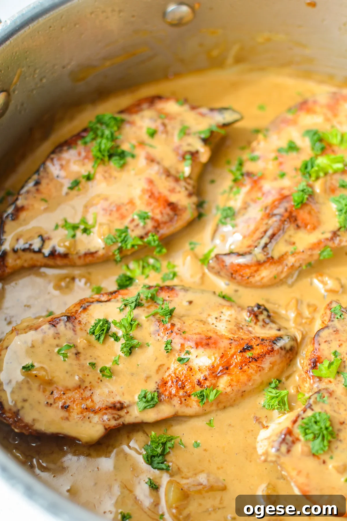 A close up of chicken breasts that have been cooked in a creamy garlic sauce.