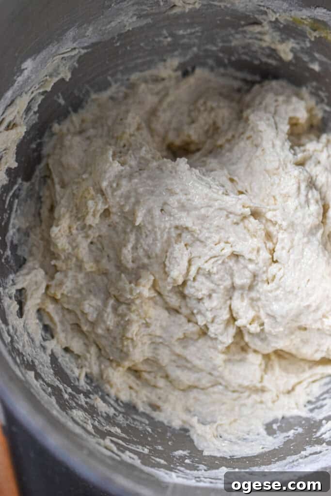 How to Make Crispy-Outside, Airy Ciabatta at Home 5 The dough is in a metal bowl.