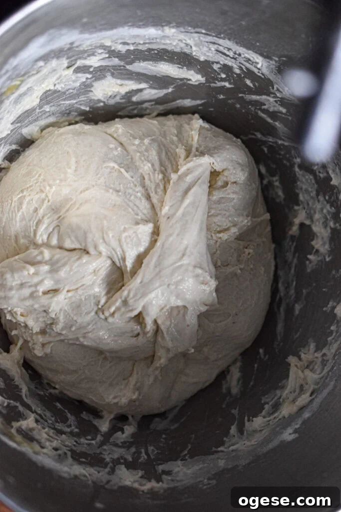 How to Make Crispy-Outside, Airy Ciabatta at Home 6 The dough is shaped into a ball.