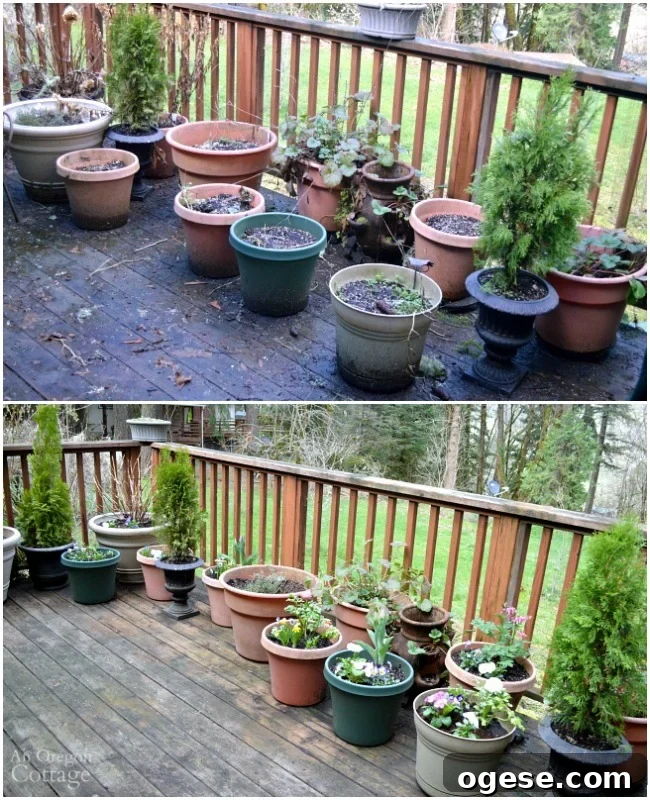 Spring Flower Pot Refresh: Creative Ideas and Plant Tips 12 Ideas & Tips to Refresh Your Flower Pots for Spring- deck before and after
