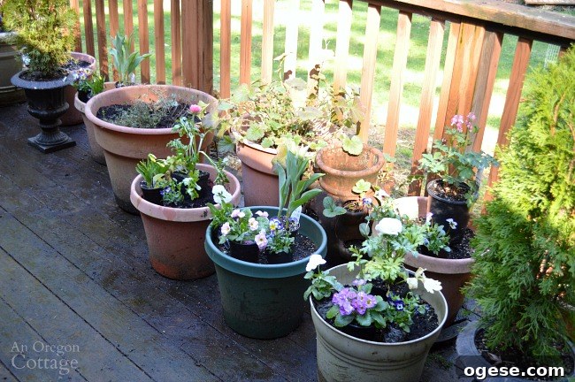 Spring Flower Pot Refresh: Creative Ideas and Plant Tips 5 Arranging flower pots for spring planters