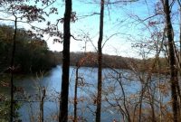 20 Reasons to Love Happy Trails: Why It’s Worth the Journey