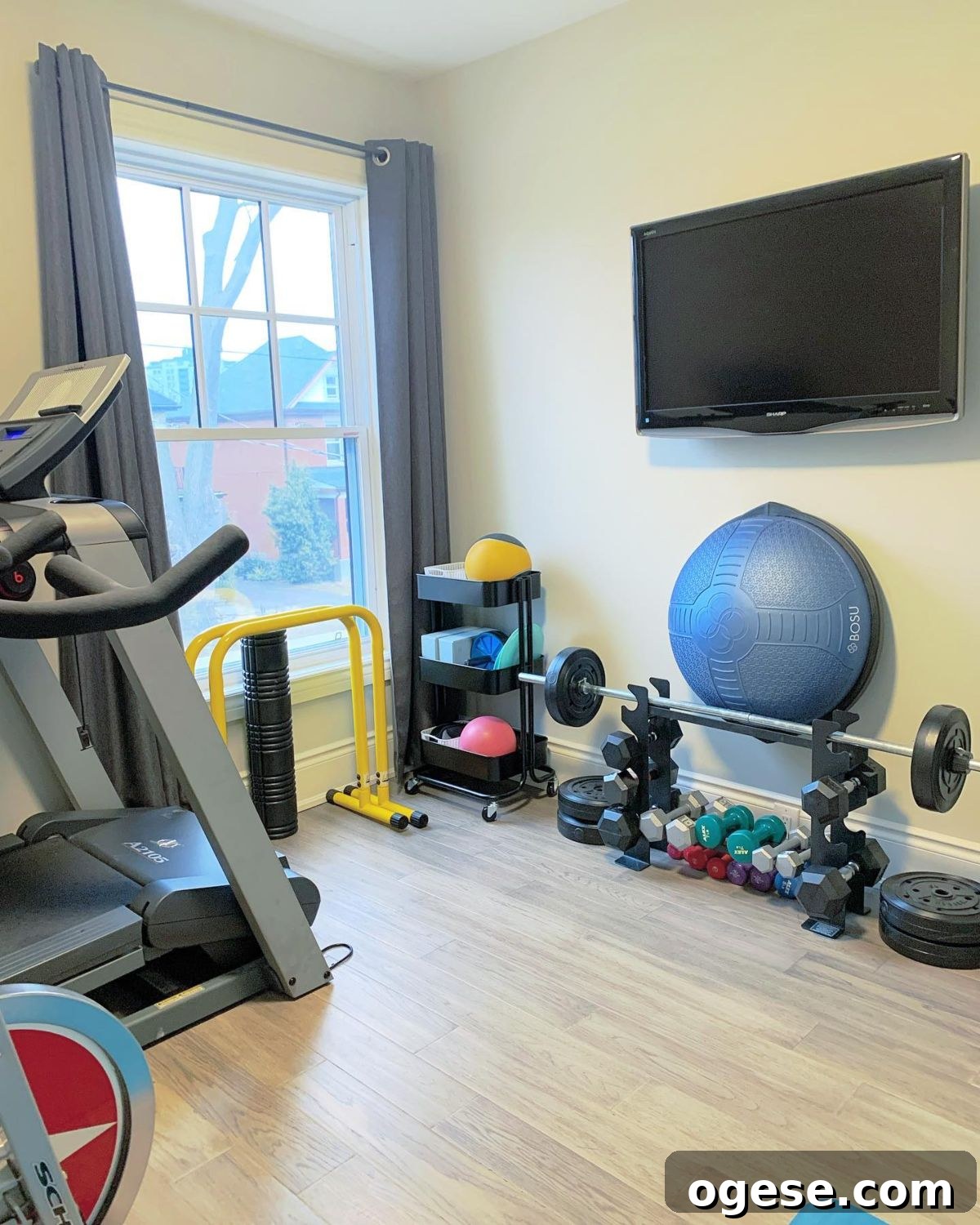Vertical stand for dumbbells and gym equipment