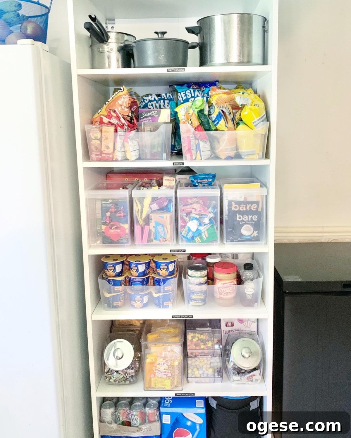 Organized pantry with bins and vertical storage