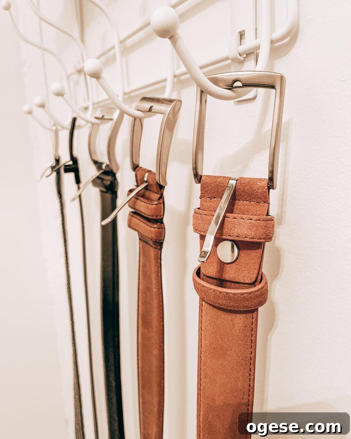 Belts hanging on hooks in a closet
