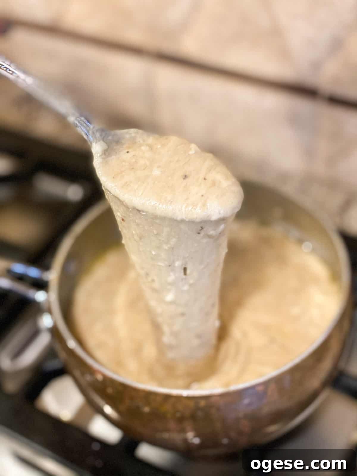 melting pot cheese fondue