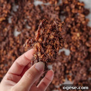 A cluster of simple granola recipe.